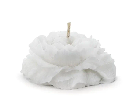 Świeca pływająca piwonia matowa biała 8cm 4szt - PartyDeco