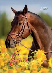 Kalendarz 2026 ścienny Konie - AVANTI