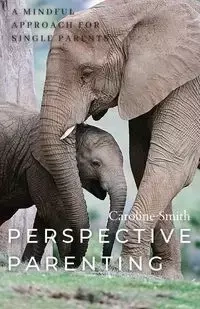 Perspective Parenting - Caroline Smith