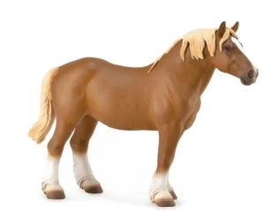 Ogier Belgian Mare gniady - Collecta