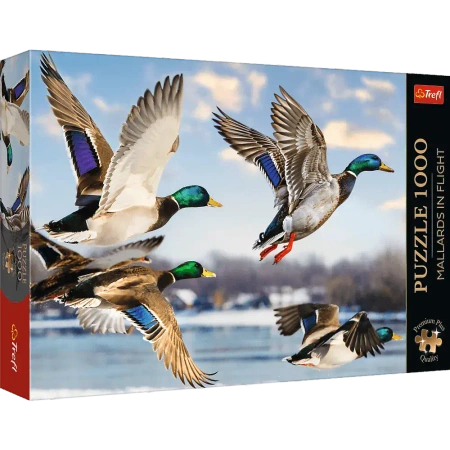 Puzzle 1000 elementów. Premium Plus Quality. Krzyżówki w locie