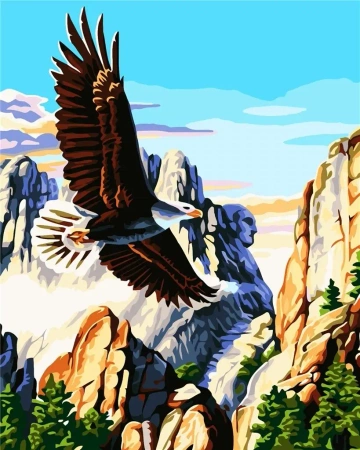 Malowanie po numerach - Orzeł amerykański 40x50cm - ArtiFly