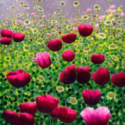 Karnet z kopertą AC10135 Różowe maki - Susan Entwistle