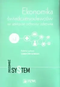 Ekonomika świadczeniodawców w sektorze ochrony... - Christoph Sowada