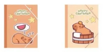 Teczka A5 4 gumką MIX - Koh-I-Noor