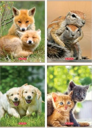 Zeszyt A4/32K kratka Animals (10szt) - HERLITZ