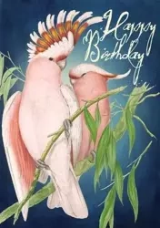 Karnet B6 z kopertą Urodziny Nimfy - Madame Treacle