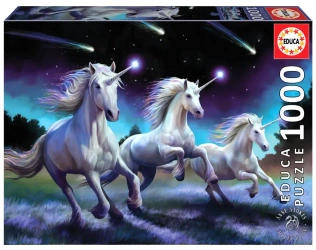 Puzzle 1000 Spadające gwiazdy Anne Stokes 112793 - Educa