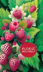 Terminarz 2025 Mini - Michalczyk i Prokop