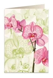 Karnet B6 + koperta 5722 Różowa orchidea - Tassotti