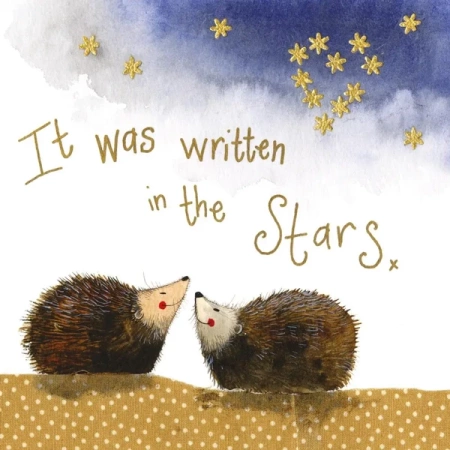 Podkładka pod kubek C103 Jeżyki nocą - Alex Clark