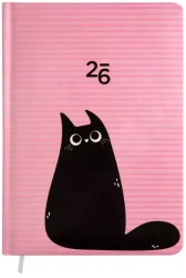 Kalendarz tygodniowy 2026 B6 Kot ALBI - praca zbiorowa