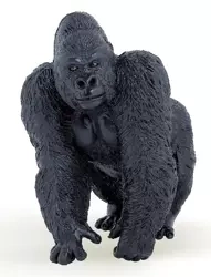 Goryl - PAPO