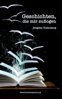 Geschichten, die mir zuflogen - Brigitte Vollenberg