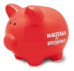 Skarbonka Pastel-Marzenia do spełnienia - Pan Dragon