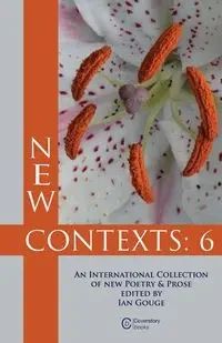 New Contexts - Gouge Ian