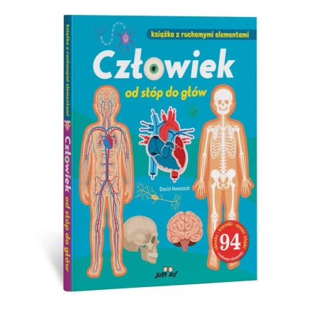 Człowiek od stóp do głów - David Hawcock