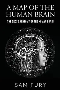 A Map of the Human Brain - Sam Fury