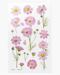 Naklejki ozdobne kwiaty - Aster - Appree