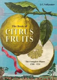 J. C. Volkamer. The Book of Citrus Fruits. 45t