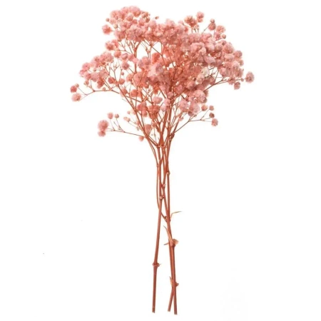 Gipsówka 4 gałązki ok. 20cm light pink - Dalprint