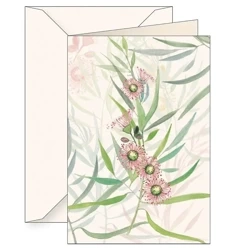 Karnet B6 + koperta 6123 Eukaliptus kamaldulski - Tassotti