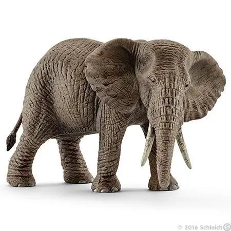 Słoń afrykański samica - SCHLEICH