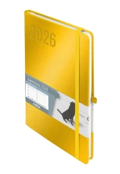 Kalendarz 2026 A5 Minimalizm złoty TNS - Antra