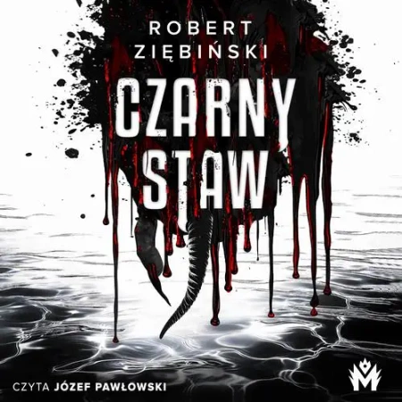 audiobook Czarny Staw - Robert Ziębiński