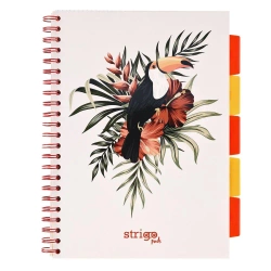 Kołozeszyt Strigo A4 Project Book Pelikan biały kratka