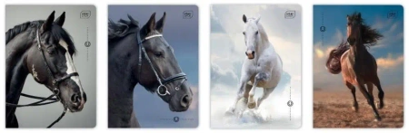 Zeszyt A5/32K kratka M 70g UV Wild Horses (10szt) - INTERDRUK