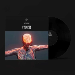 Sieć Indry LP, Winyl