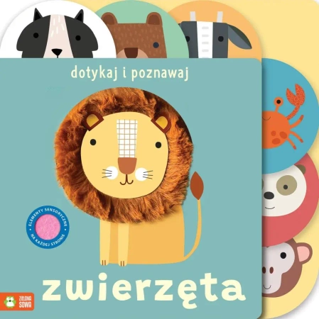 Dotykaj i poznawaj. Zwierzęta - Sally Payne