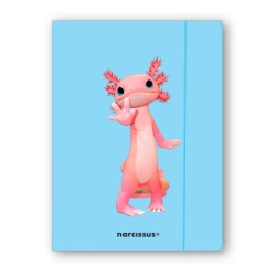 Teczka A4+ z gumką Teddies&Aksolotl - Narcissus