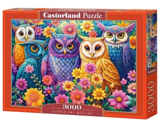 Puzzle 3000 Flower Owl Meeting CASTOR - Castorland