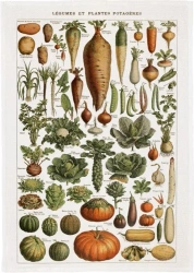 Ręcznik kuchenny - Warzywa - Skona Ting