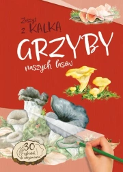 Grzyby Naszych Lasów. zeszyt z kalką - Katarzyna Kopiec Sekieta