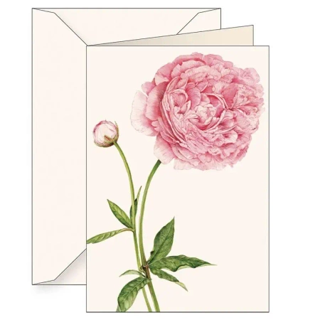Karnet B6 + koperta 6136 Piwonia chińska 2 - Tassotti