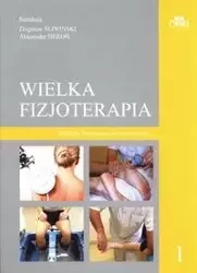Wielka fizjoterapia. Tom 1 - Śliwiński Zbigniew, Sieroń Aleksander