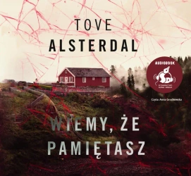 audiobook Wiemy, że pamiętasz - Tove Alsterdal