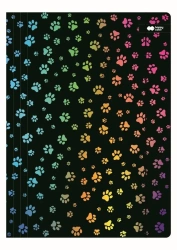 Teczka A4+ z gumką Miaow czarna HAPPY COLOR - GDD