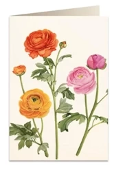 Karnet B6 + koperta 5892 Jaskier - Tassotti