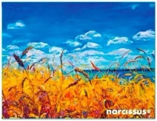 Teczka kopertowa PP A6 Niebo - Narcissus