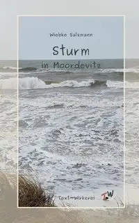 Sturm in Moordevitz - Salzmann Wiebke