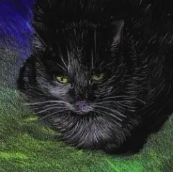 Notes. Koty ekologiczne - Emg