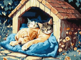 Malowanie po numerach - Cisza czasu 30x40cm - Ideyka