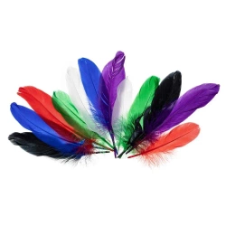 Piórka gęsie jaskrawe 15-20cm - Brewis