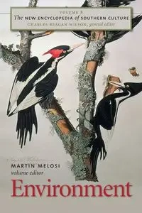 The New Encyclopedia of Southern Culture - Melosi Martin V.