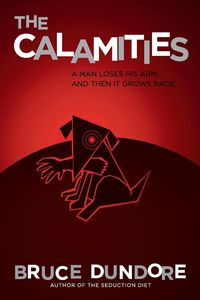 The Calamities - Bruce Dundore