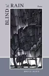Blind Rain - Bruce Bond